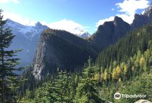 Little Beehive景点图片