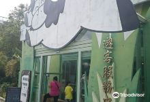 四方鲜乳牧场景点图片