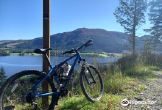 Whinlatter Bikes购物图片