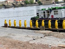 The Penguins at Kampa Park by the Cracking Art Group-布拉格