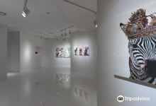 Gallery Mare景点图片