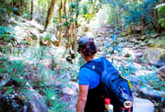 Washpool National Park景点图片