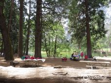 Swinging Bridge Picnic Area Yosemite National Park CA-优胜美地谷