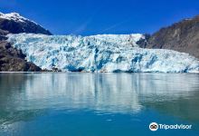 Holgate Glacier景点图片