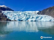 Holgate Glacier-西沃德