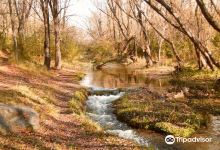 Balneario Las Jarillas景点图片
