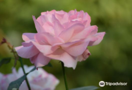 Central Zoo景点图片