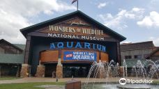 Wonders Of Wildlife National Museum & Aquarium-斯普林菲尔德