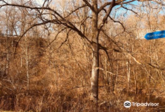 Hidden Valley Park景点图片
