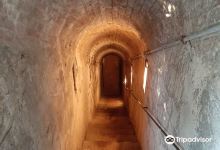 Il Parco Archeologico Comunale della Villa Romana di S.Vincenzino景点图片