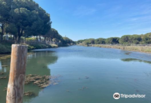 A la decouverte des Tortues Marines - Etang du Ponant景点图片