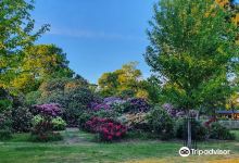 Langley Country Park景点图片