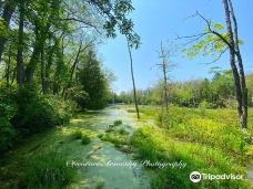 Pinery Provincial Park-大本德