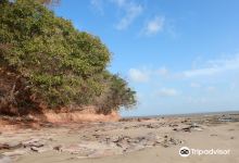 Ilha do Livramento景点图片