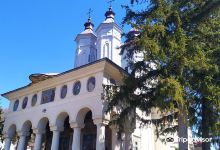 Ciolanu Monastery景点图片