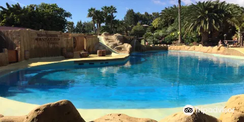 蘭喬德克薩斯蘭薩羅特公園