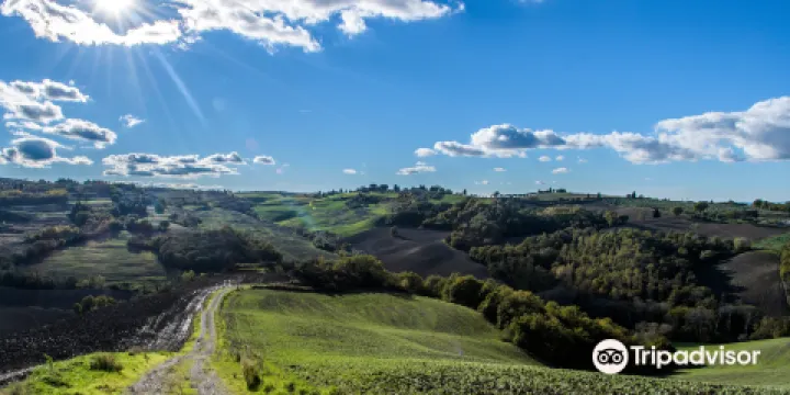 Crete Senesi