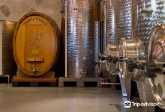 Domaine De Trecord景点图片