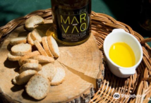 Melara Picado Nunes - Lagar Museu景点图片