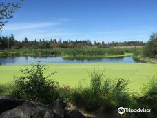 Talking Water Gardens-奥尔巴尼