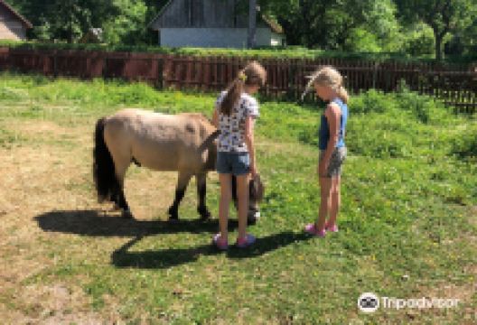 Kapa Farm Mini-Zoo景点图片