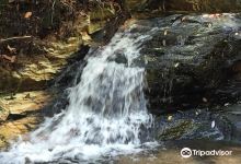 F.D. Roosevelt State Park景点图片