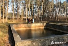 Werwolf (Hitler's Military Headquarters)景点图片