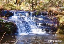 Buffalo National River Park景点图片
