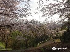 清水船越堤公園-静冈