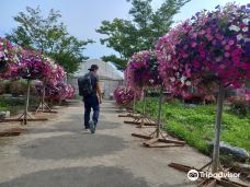 世界花卉植物园-牙山市
