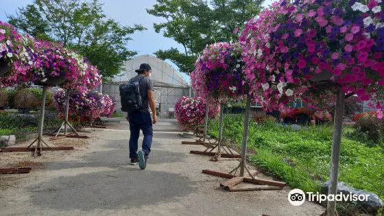 世界花卉植物園