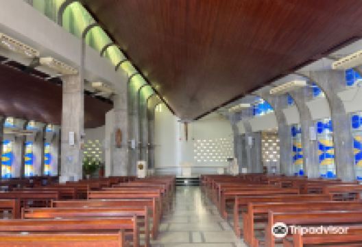 Catedral Cristo Redentor景点图片
