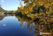 Semsvannet Lake景点图片