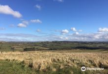 Baildon Moor景点图片