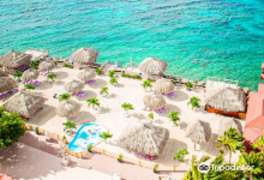 棕榈岛景点图片