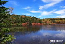 Pond Shirakoma景点图片