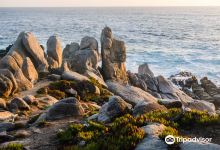 Pescadero Point景点图片