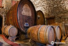 Balgera Vini di Balgera Paolo e C. Sas景点图片