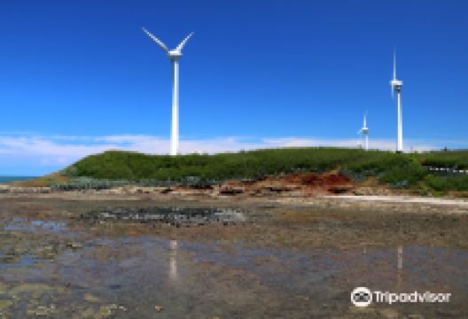 Jhongtun Wind Farm景点图片