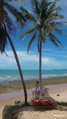 Retirinho Beach-阿拉卡蒂