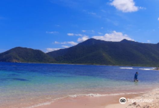 Laguna de Yapascua景点图片