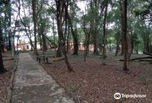 Parque Natural Municipal Luis Honorio Rolon景点图片