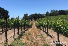 Casa Dumetz Wines购物图片