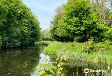 Dearne Valley Country Park景点图片