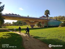 Puente del Dragon-Area Metropolitana de Sevilla