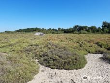 Domaine de la Palissade-阿尔勒