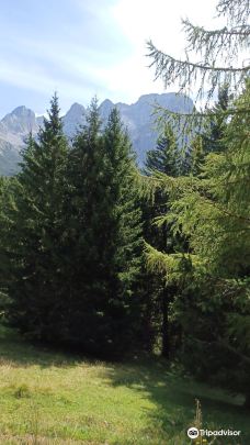 Parco Naturale Adamello Brenta-特伦托省