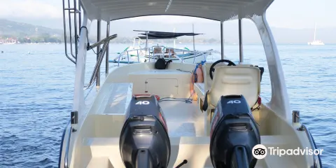 Beatiful Fish Lovina