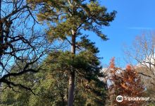 Donald E. Davis Arboretum景点图片