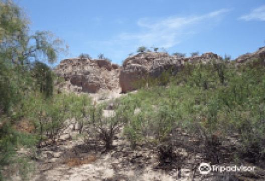Mesilla Valley Bosque State Park景点图片